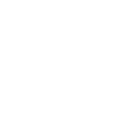 icone Twitter